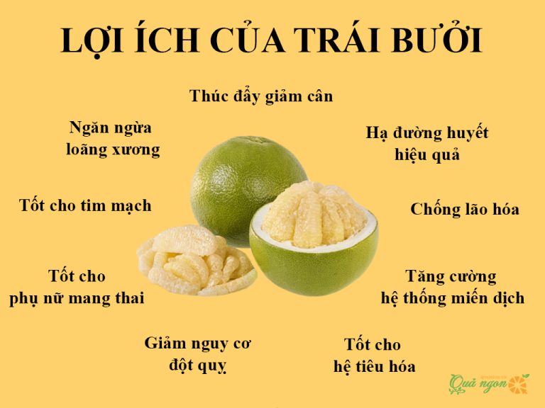 nhung-tac-dung-tuyet-voi-tu-trai-buoi